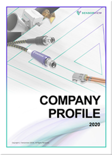 2020 Company overview